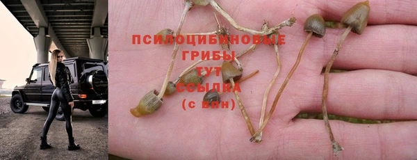 амф Строитель