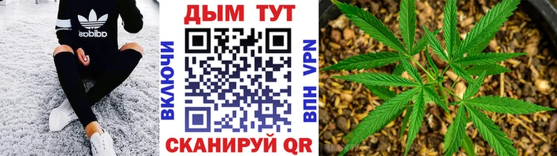 где найти наркотики  Кубинка  Бошки марихуана SATIVA & INDICA 